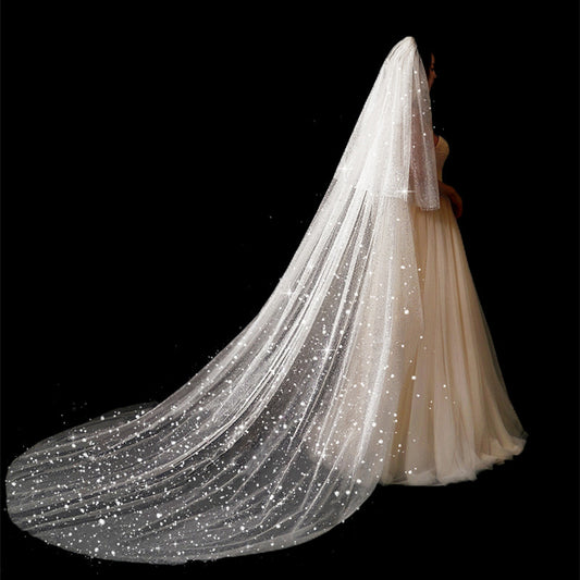 Bridal Wedding Dress Long Tail Luxury Super Fairy Wedding Veil