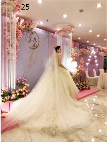 Bridal Wedding Dress Long Tail Luxury Super Fairy Wedding Veil